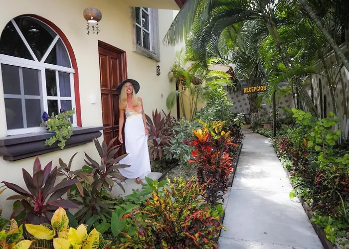Hotel Playa Del Carmen